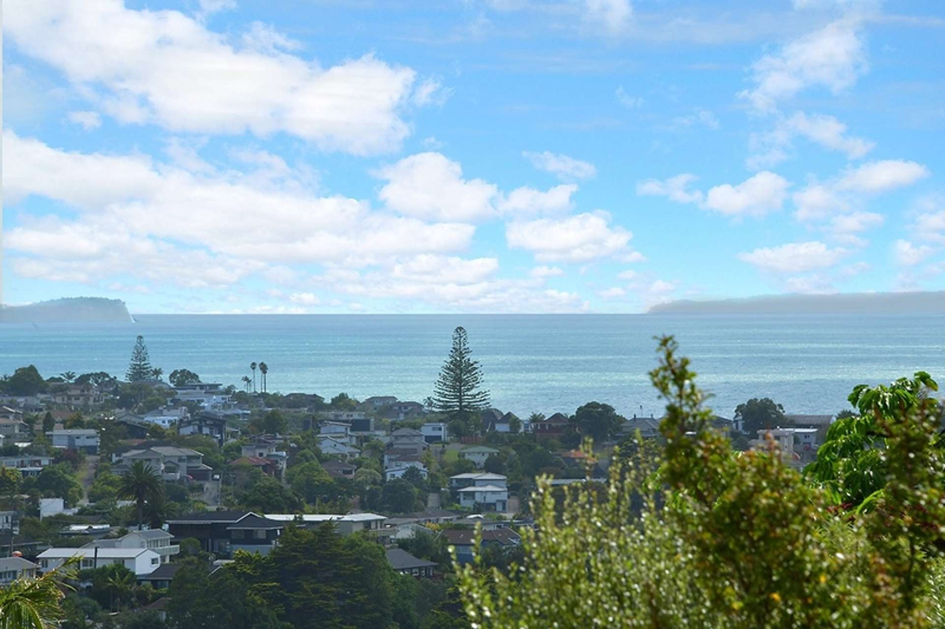 1/275 East Coast Road Mairangi Bay_0