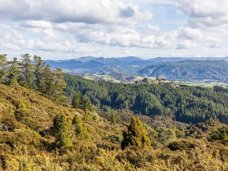 425l Boat Harbour Road Whenuakite_8