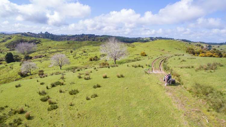 164 Arcadia Road Paparoa_16