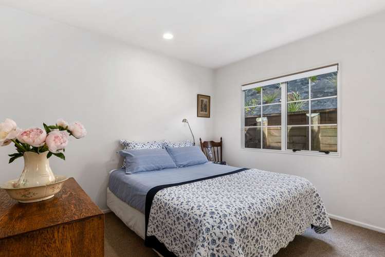 62 Potter Road Dairy Flat_10