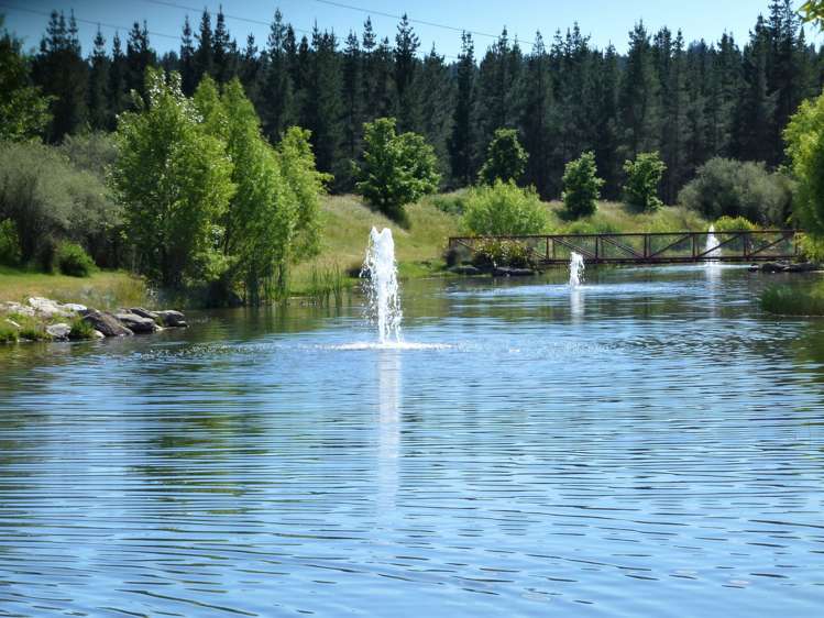 28 Briar Crescent Alexandra_24