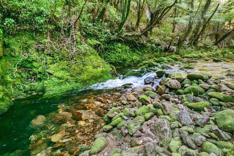 232 Hikuai School Road Hikuai_25