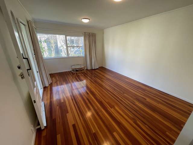 10B Second Avenue Devonport_1