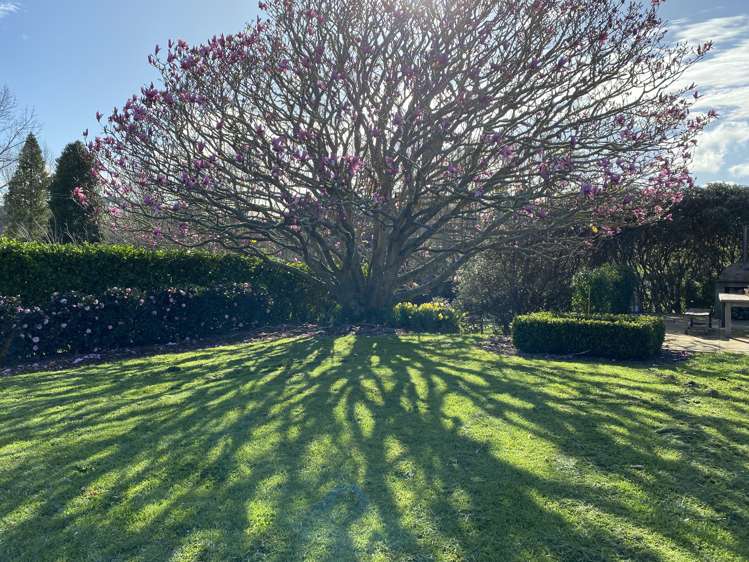 74 Beaver Road Pukekohe East_1