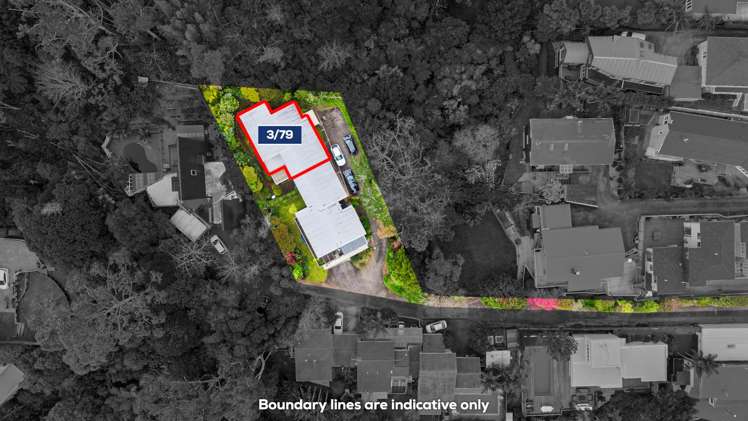 3/79 Meadowbank Road Meadowbank_10