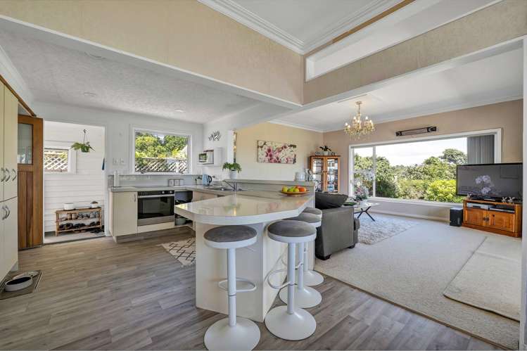 57 Huatoki Street Vogeltown_8