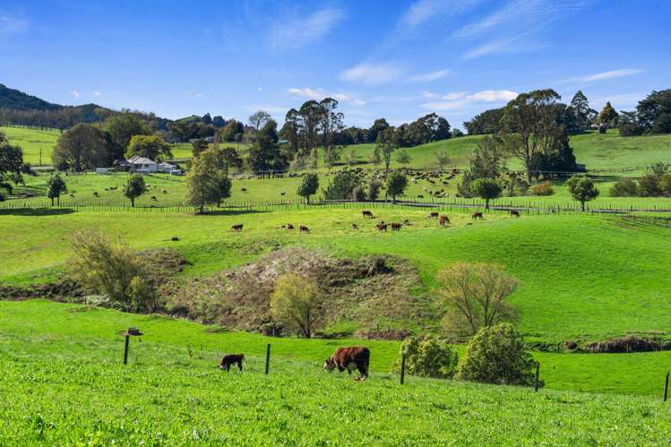 998 Limeworks Loop Road Te Pahu_34