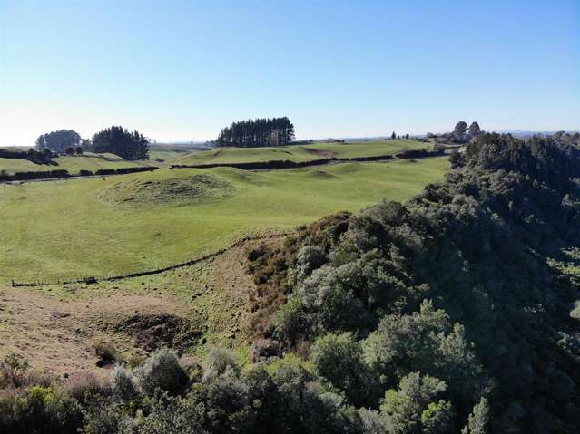 Te Waerenga Road Hamurana_3