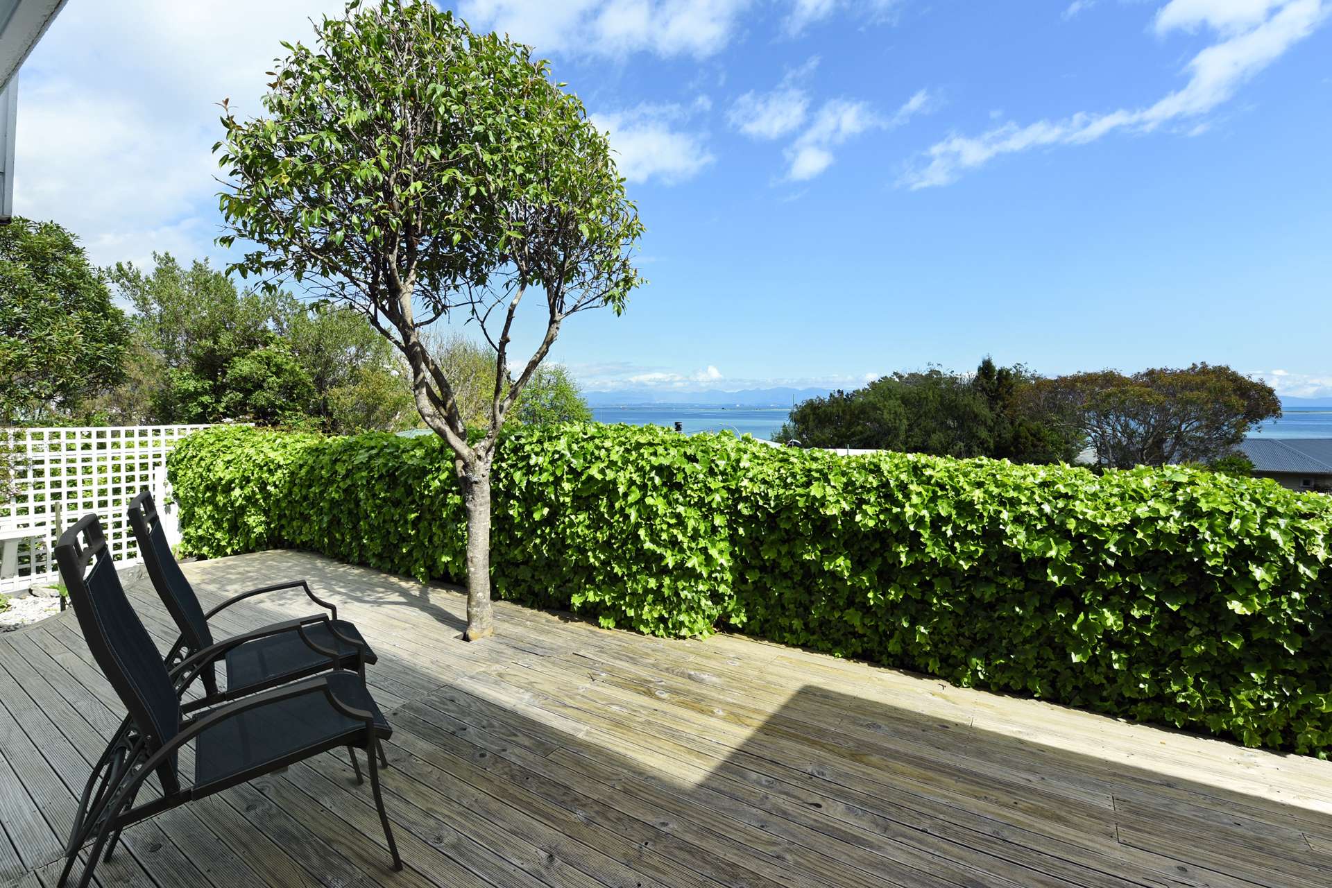 15 Bay View Road Atawhai_0