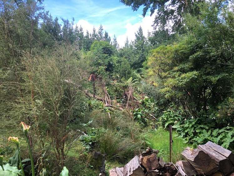 27 Haswell Street Eketahuna_21