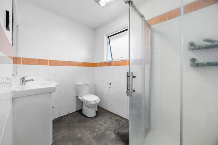 38 Burundi Ave Clendon Park_18