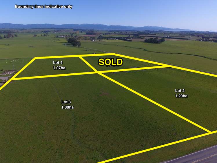 154 Jellicoe Street Te Puke_2