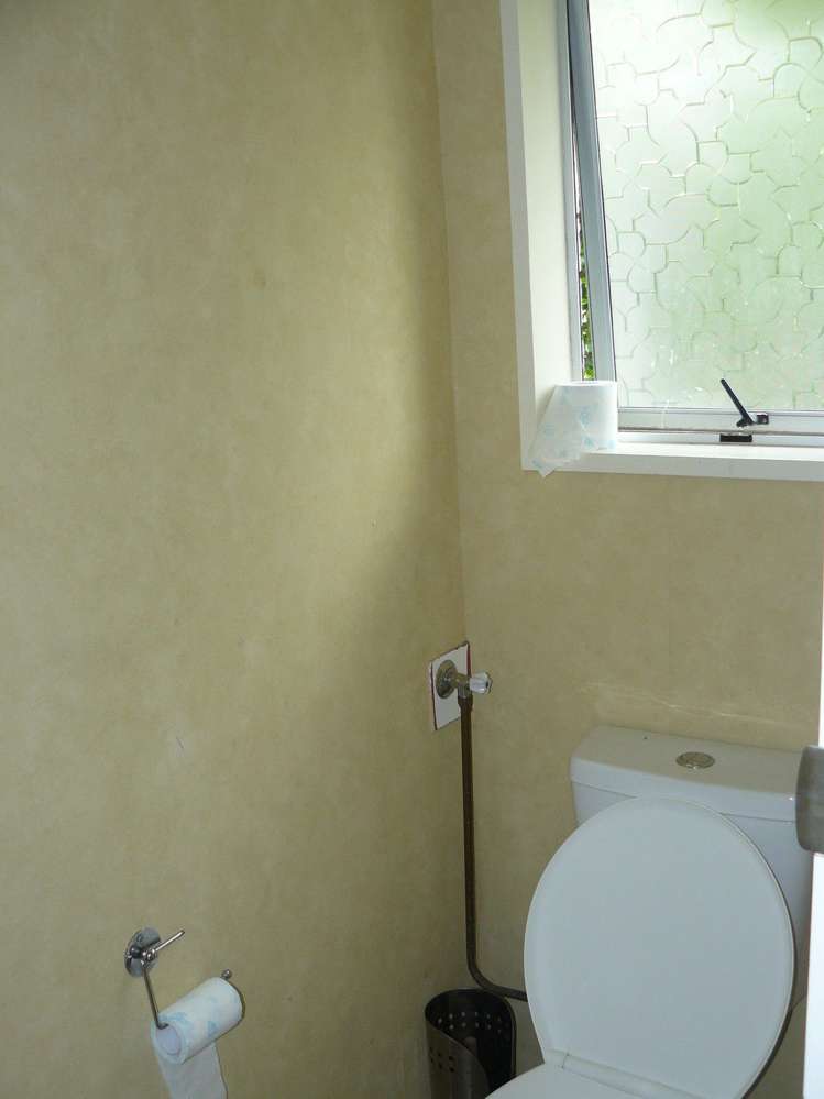 1 Mckenzie Avenue Otorohanga_12