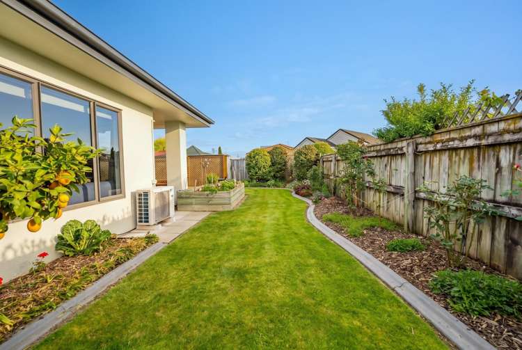 29 Tollemache Street Richmond_18