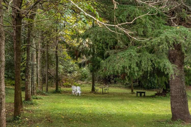 383a Lockington Road Aongatete_21