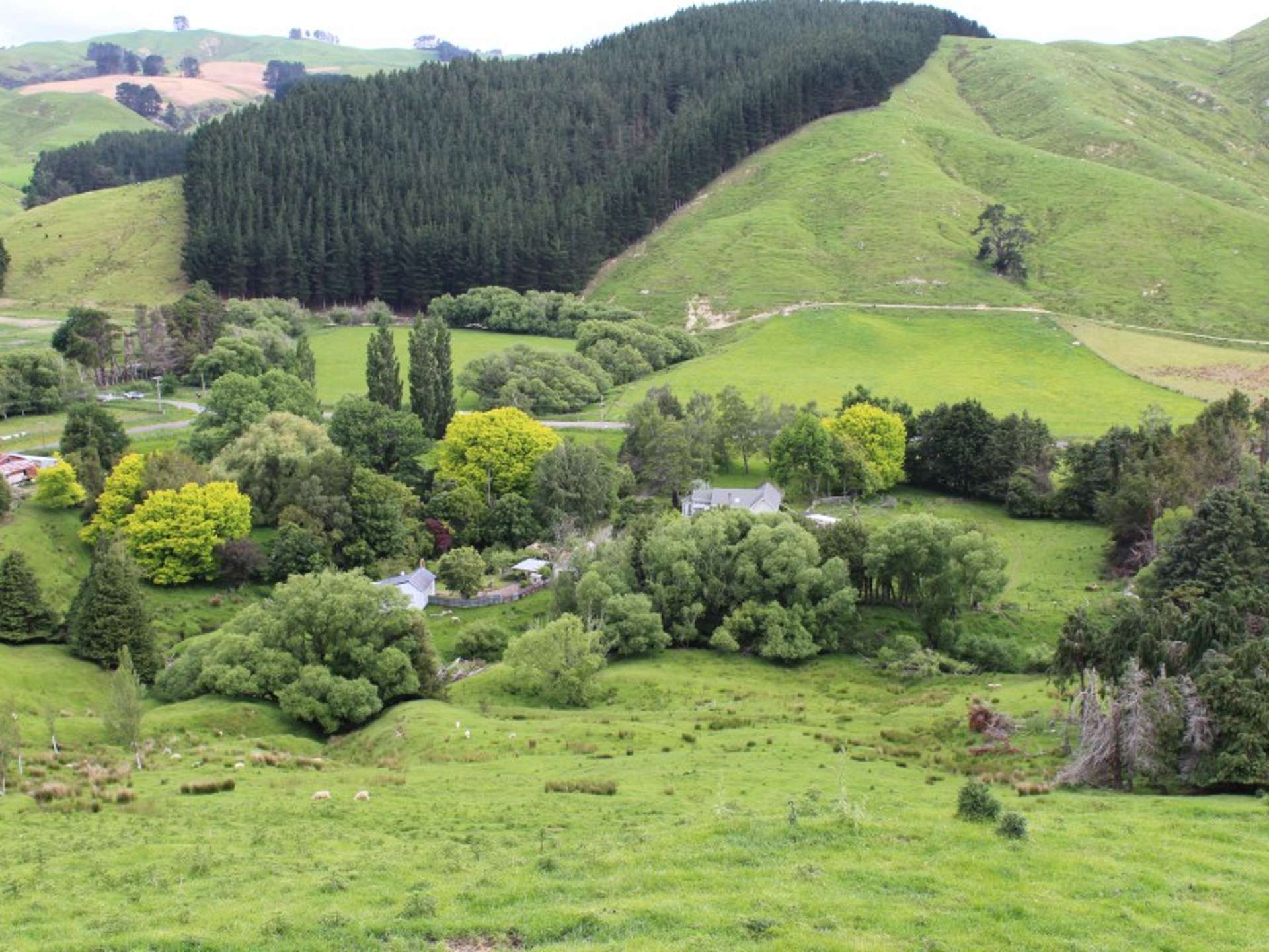 1177 Mangahei Road Rangitikei Surrounds_0