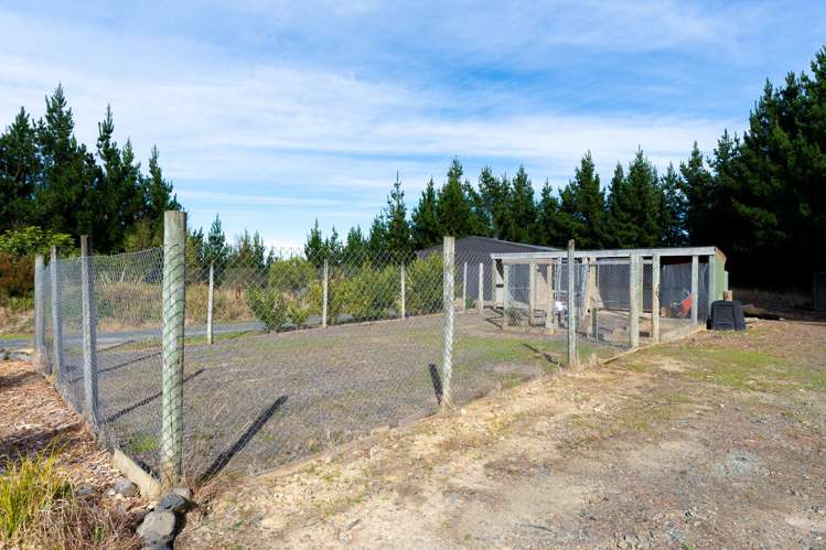 689 Big Stone Road Kuri Bush_31