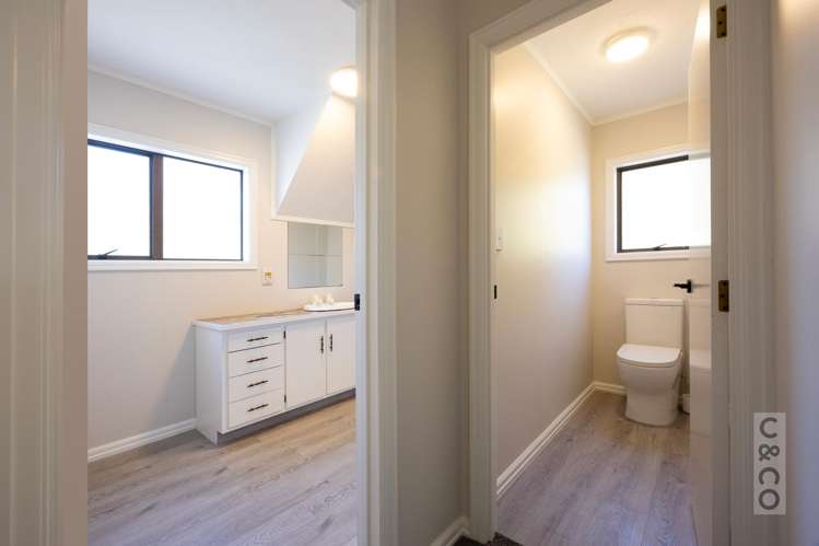 46 Potter Road Dairy Flat_19