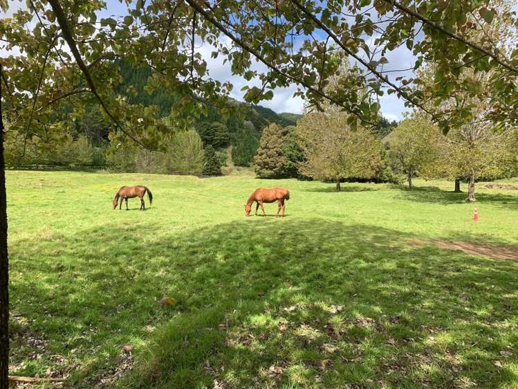 1819 Mataraua Road Kaikohe_12