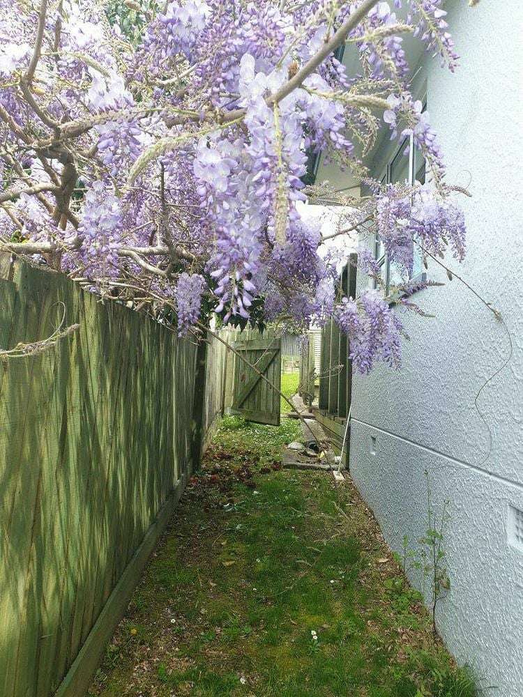 Address withheld Warkworth_8