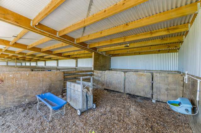 194 Lindsay Road Levin_3