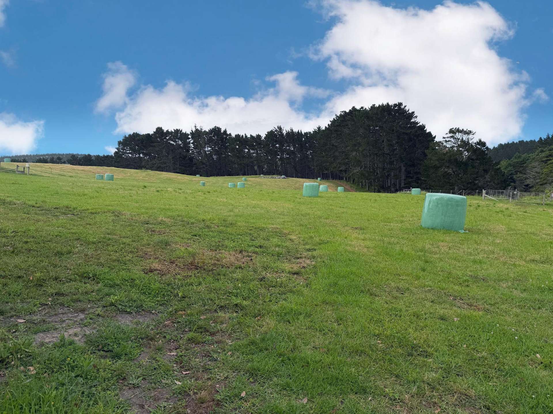 75 Kai Iwi Lakes Road Dargaville_0