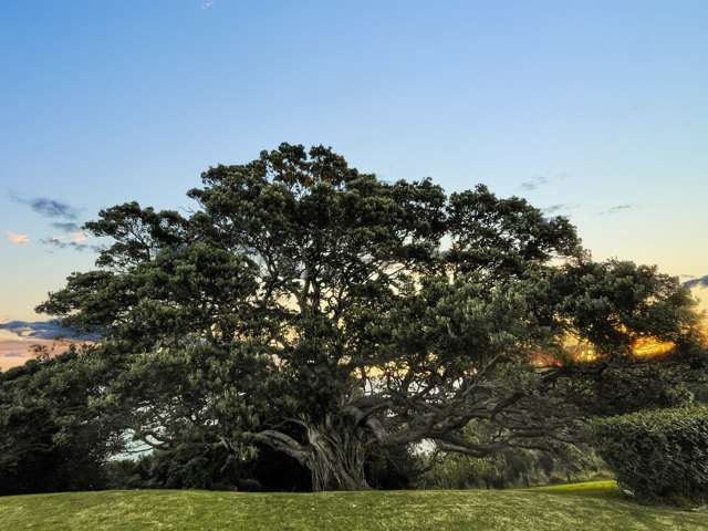 148 Te Whau Drive Maria Island_4