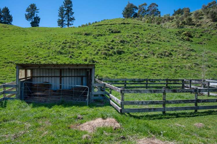 8 Braymoore Place Hamurana_40