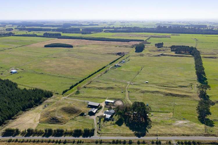 163 Downs Road Himatangi_1