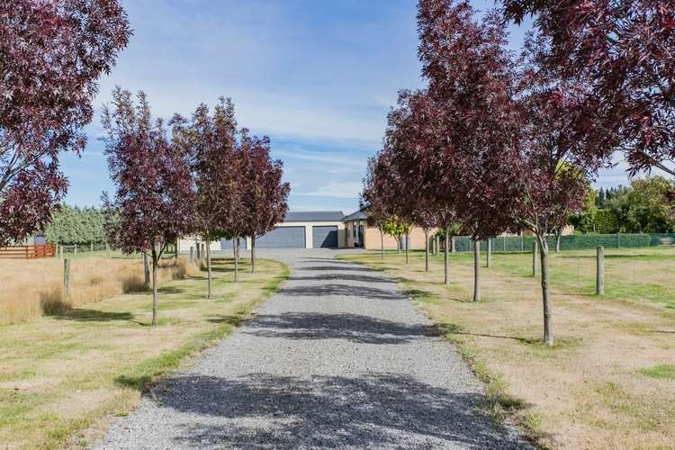 2511 Wards Road Darfield_15