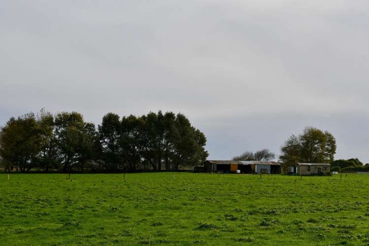 106 Granite Creek Road Karamea_22