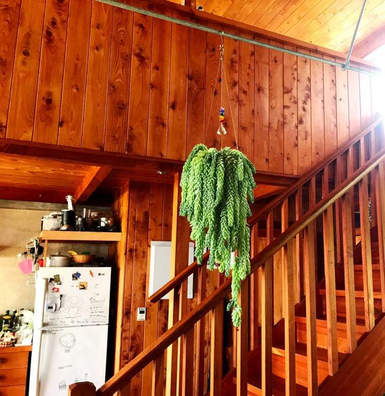 29/457 Swanson Road Ranui_6