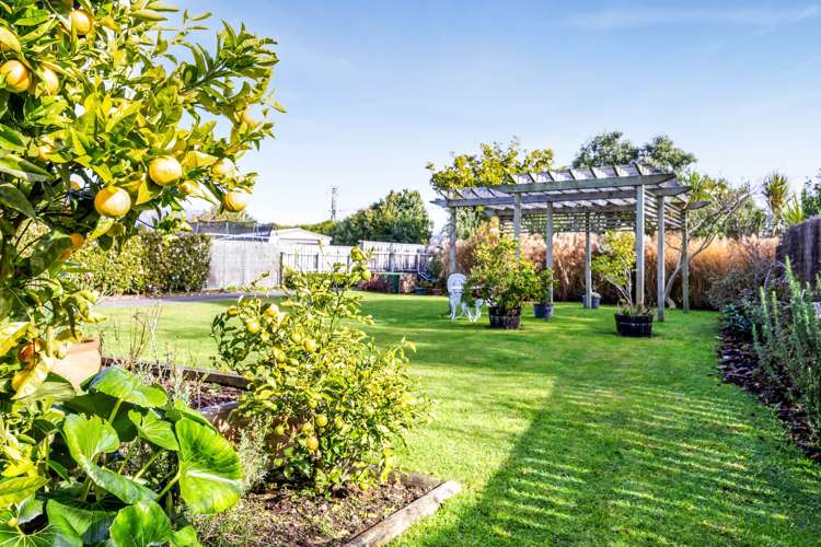 29 Maire Street Inglewood_21