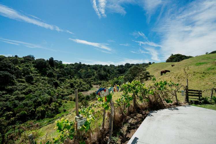 11 and 11A Kuaka Lane Ohiwa_34