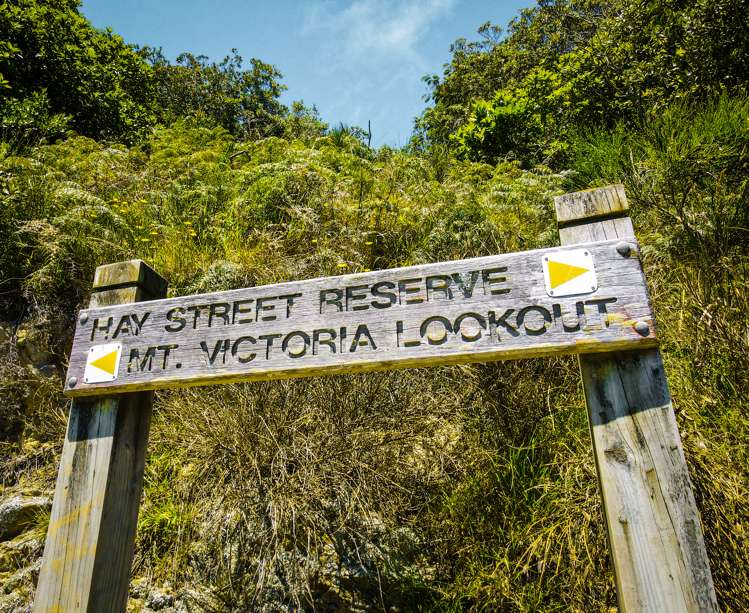 16 Telford Terrace Oriental Bay_7