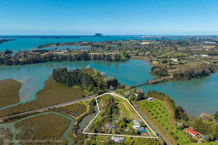 105 Jess Road Whakamarama_3
