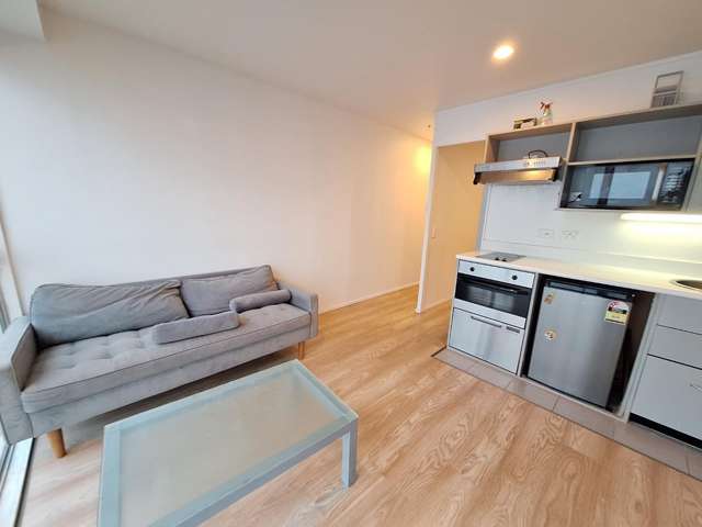 8M/147 Hobson St 10015_1