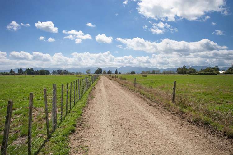 1067 Hauraki Road Paeroa_14