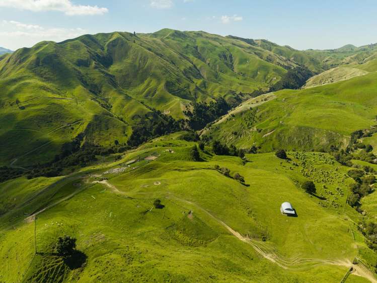 Matawai Station, 772 Oliver Road Matawai_15