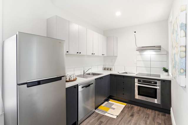 17 Burns Street South Dunedin_2