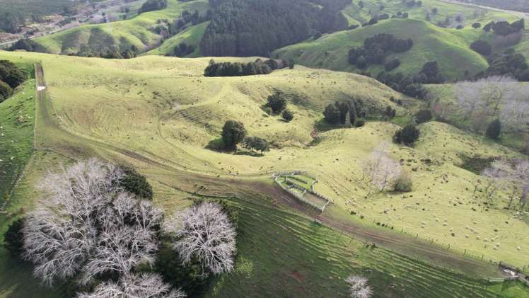 78 Otioro Road Topuni_7