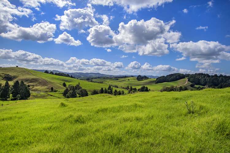 Lot 1 Oetzman Rd Hikurangi Rd2_16