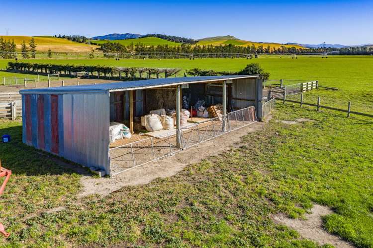 537 Mount Brown Road Broomfield_19