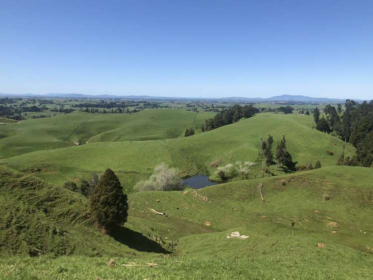 1026 Limeworks Loop Road Karamu_25