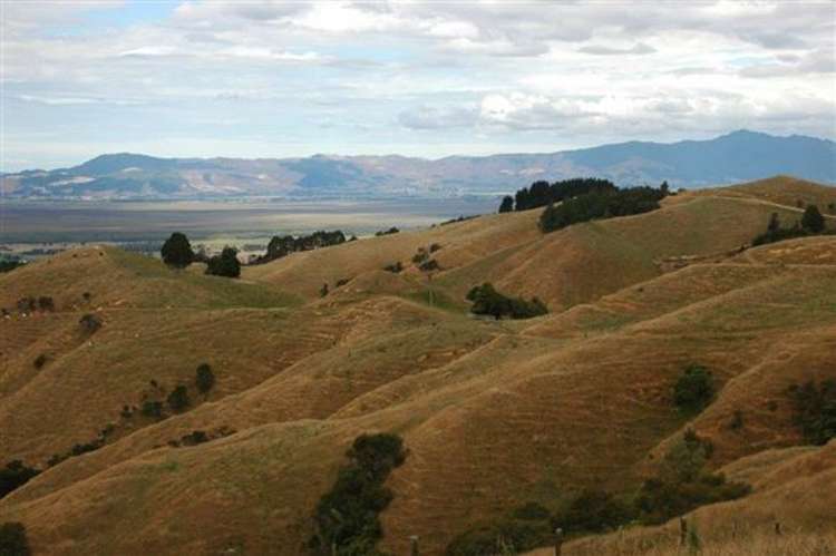 Waiti Road Tahuna_35