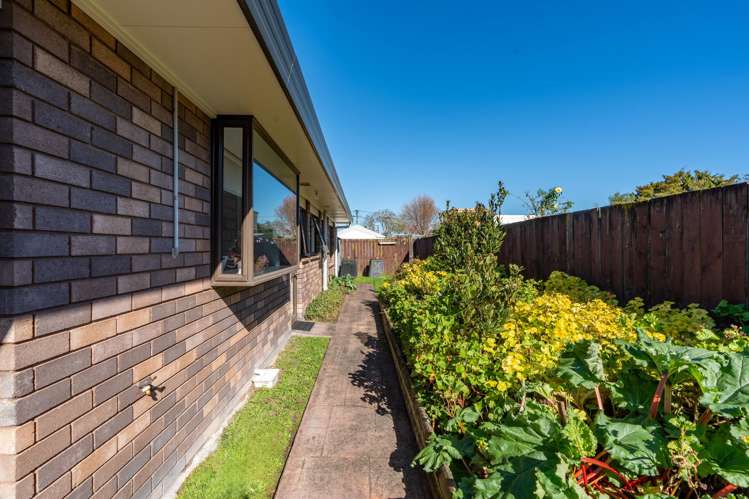 27B East Street Claudelands_10