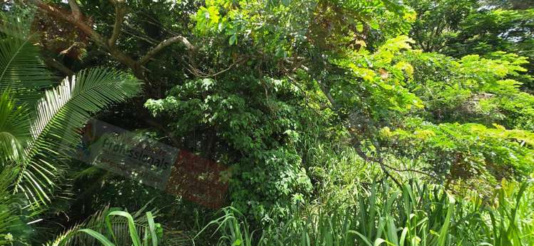 Address withheld Savusavu_15