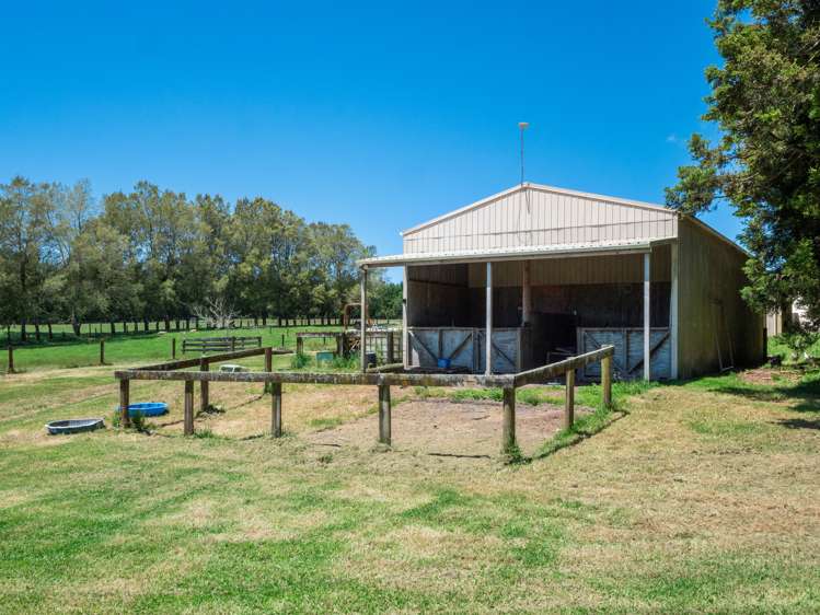 857 Mclaren Falls Road Kaimai_25