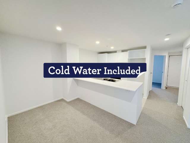 Be First to Live Here! Freshly Renovated 3 Bedroom Apartment