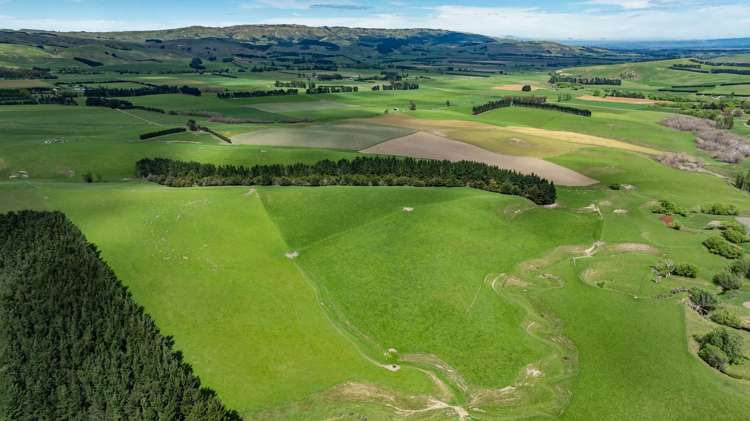 1443 Omihi Road Omihi_29